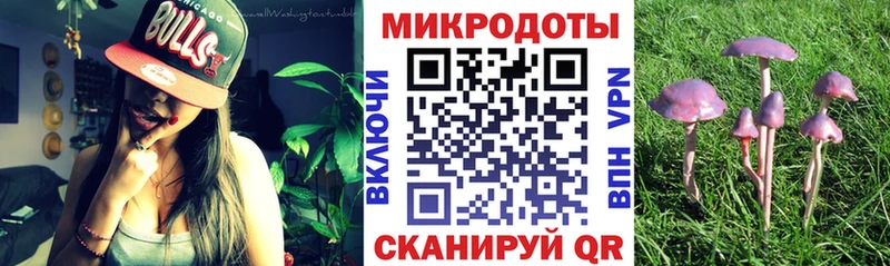 Псилоцибиновые грибы Cubensis  Светлый 
